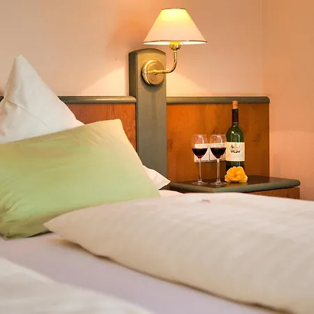 Landhotel Henkenhof 3* Willingen (Upland)