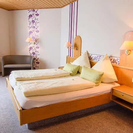 Landhotel Henkenhof 3* Willingen (Upland)
