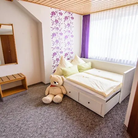 Szálloda Henkenhof Willingen