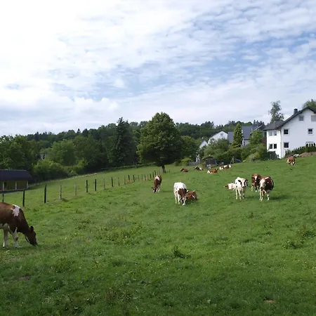 Szálloda Henkenhof 3*