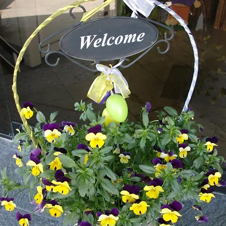 Landhotel Henkenhof Willingen (Upland)