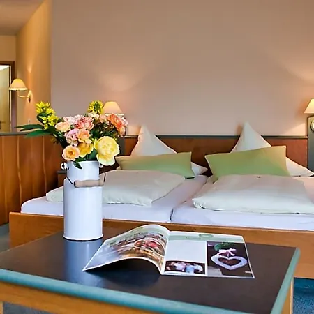 Landhotel Henkenhof Hotel Willingen (Upland)