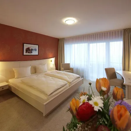 Landhotel Henkenhof 3*