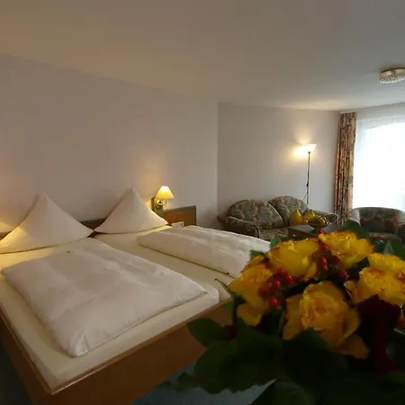 Otel Henkenhof Willingen (Upland)