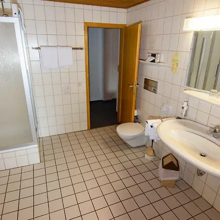 Landhotel Henkenhof 3* Willingen (Upland)