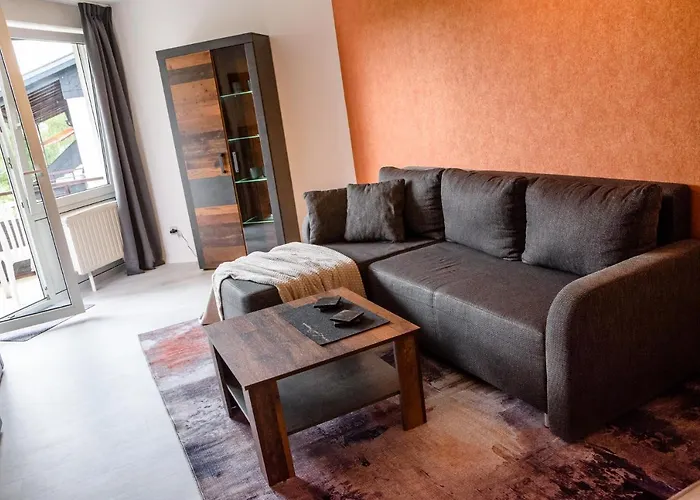 Henkenhof Hotell Willingen (Upland)