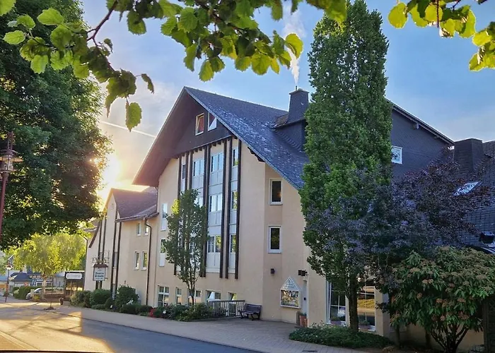 Henkenhof 3* Willingen (Upland)