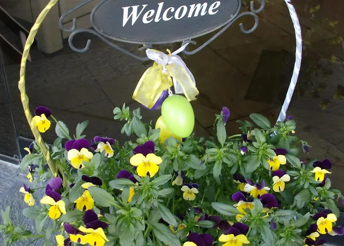 Henkenhof Willingen (Upland)